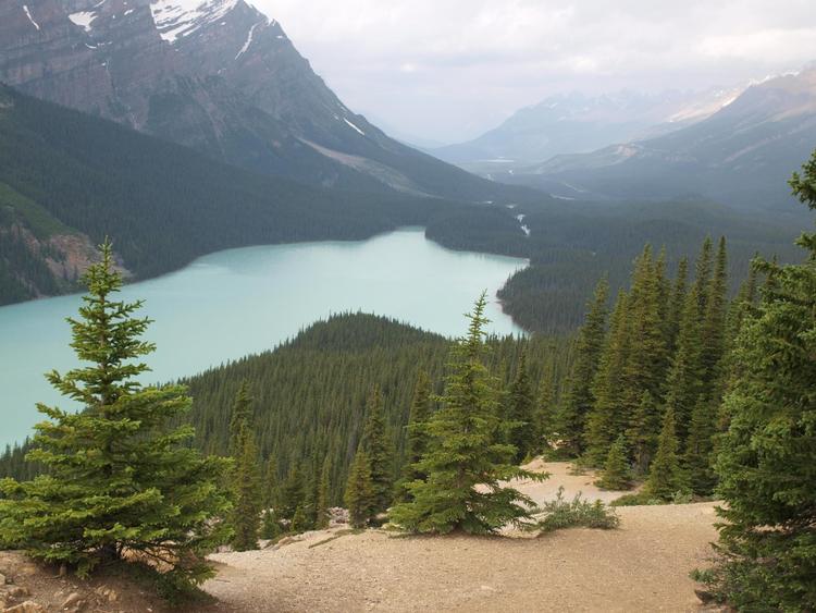 Denne ræveformede sø finder man i Banff nationalpark i  Canada 