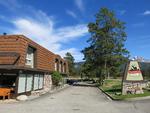Man skal ikke langt væk fra Tonquin Inn i Jasper, før man er ude i bjergene. Bjørne kommer helt ind til byen. 