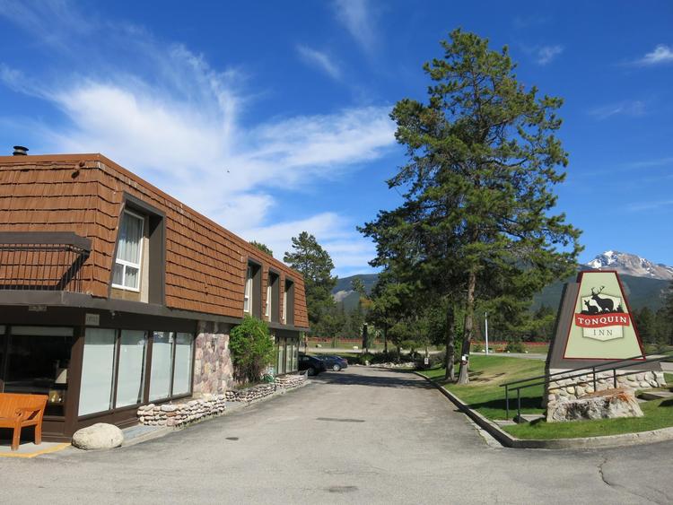 Man skal ikke langt væk fra Tonquin Inn i Jasper, før man er ude i bjergene. Bjørne kommer helt ind til byen. 