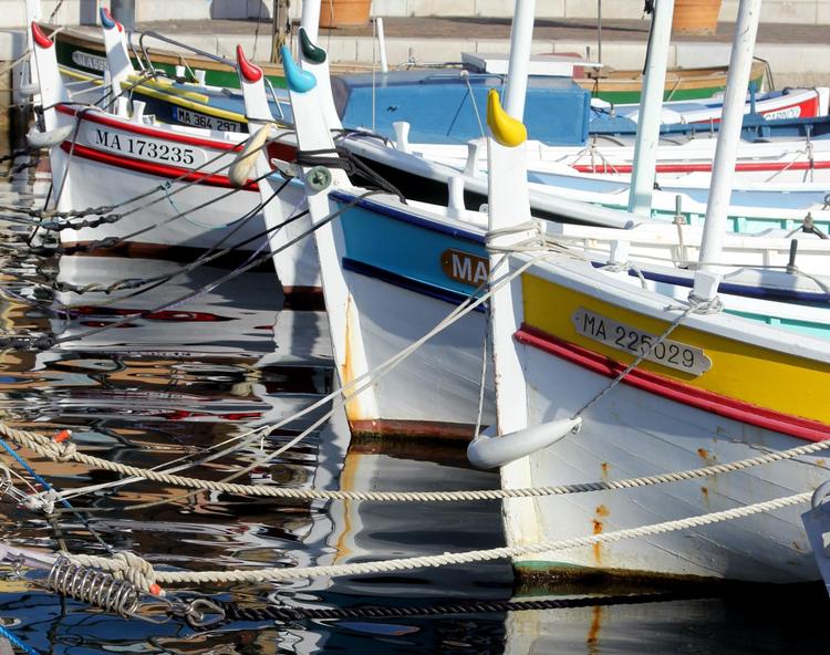 Fiskejoller. De smukt malede joller – de såkaldte pointus – er særligt velegnede til fiskeriet langs klippekysten, da de ikke stikker særligt dybt og derfor er nemme at navigere på lavt vand. Derudover er de et farverigt indslag på havnen i Cassis.  