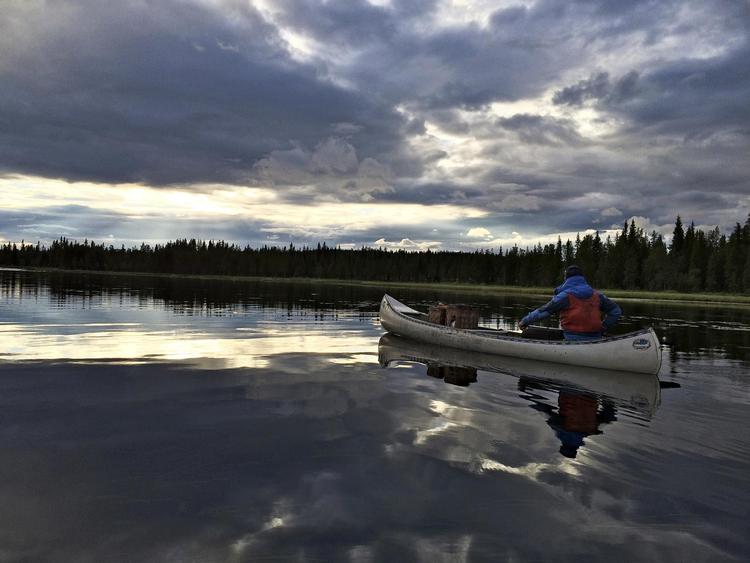 Hösthån-søen ligger stille hen, da en gruppe kanoer med guide Viktor Aldén i spidsen glider stille hen over vandet for at få et glimt af søens bævere. 
