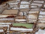 En mand går rundt på kanterne mellem de firkantede saltbassinerne omkring byen Maras i Peru. 