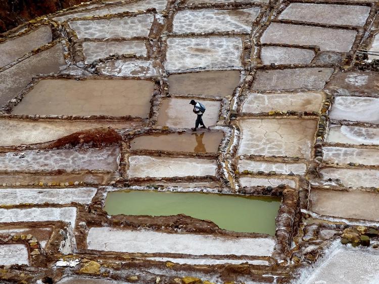 En mand går rundt på kanterne mellem de firkantede saltbassinerne omkring byen Maras i Peru. 