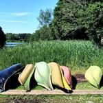 Sommerpasteller nær Broby i Skåne. 