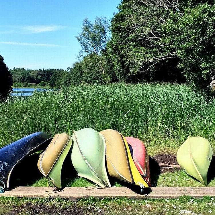 Sommerpasteller nær Broby i Skåne. 