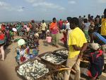 Kaotisk fiskemarked i bydelen Serekunda. 