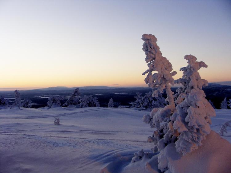 I begyndelsen af januar er der masser af plads på pisterne i Levi, hvor du kan være heldig at stå på ski i et natursceneri, som de færreste skisteder i Europa kan matche.  