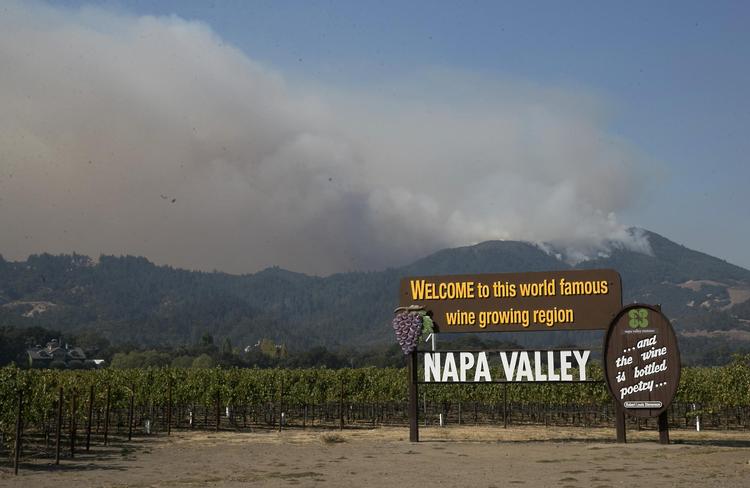 Vinmarkerne i Napa Valley var indhyllet i røg og ild tidligere på måneden. Ilden holdt sig i de fleste tilfælde til de skovklædte bjergskråninger og hærgede ikke vinmarkerne i dalbunden. 
