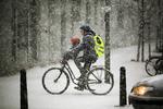 Lidt snevejr afholder ikke ikke folk i Berlin fra at tage cyklen.  