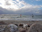 Kitesurfere på vandet i Rågeleje i sommer. 