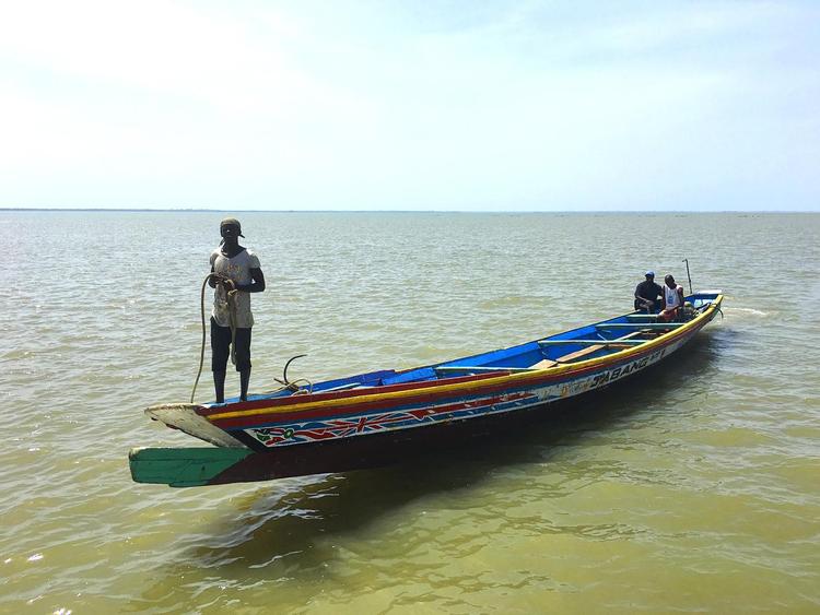 Med båd, jolle og til fods. I det vestafrikanske land Gambia kan man rejse i sporene på slaven Kunta Kinte kendt fra 1970-serien ‘Rødder’, der fornylig blev genskabt af HBO. 