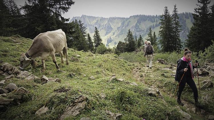 I Bregenzerwald behøver man hverken planlægning eller madpakke, man kan købe hele sin oplevelse inklusive spisekuponer og rutekort på turistkontoret. Per Munch