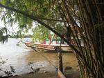 Dyrene kommer tæt på, hvis du tager en nat på Janjanbureh Lodge i Gambia. Morten Hjortshøj