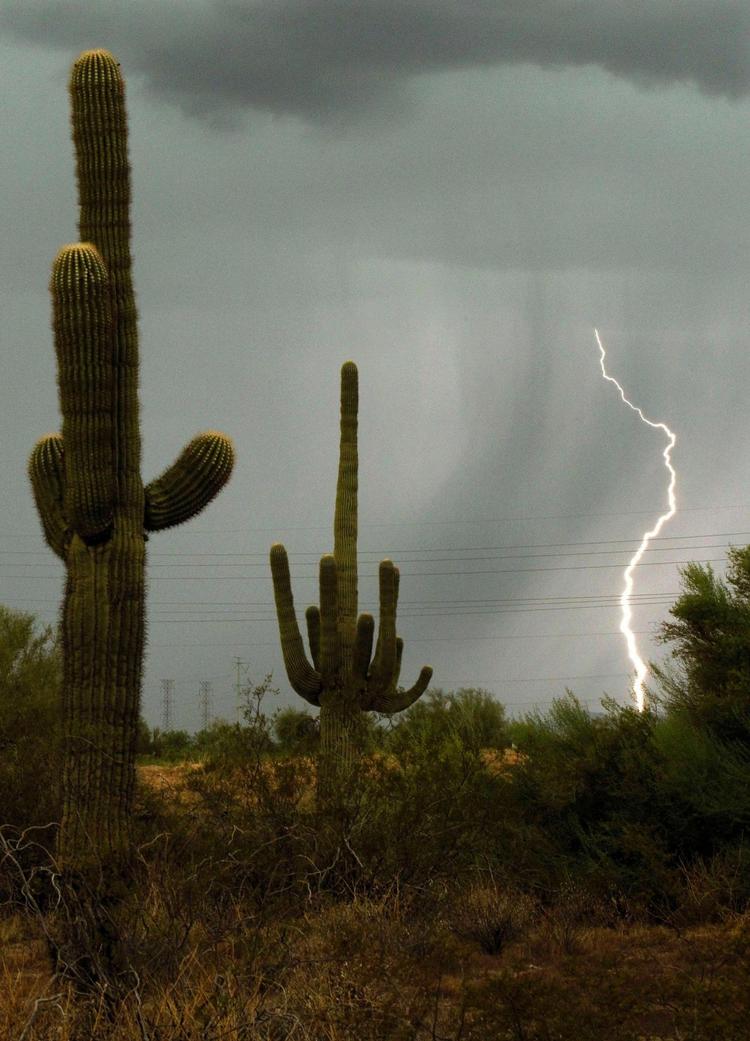 Voldsomt vejr buldrer løs i ørkenen i Arizona. Ross D. Franklin/AP