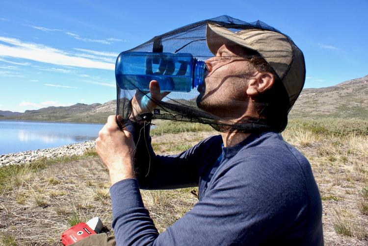 Når temperaturen stiger, bliver sværmene af myg så voldsomme, at det er nødvendigt at formumme sig bag fintmaskede net. Bo Fledelius