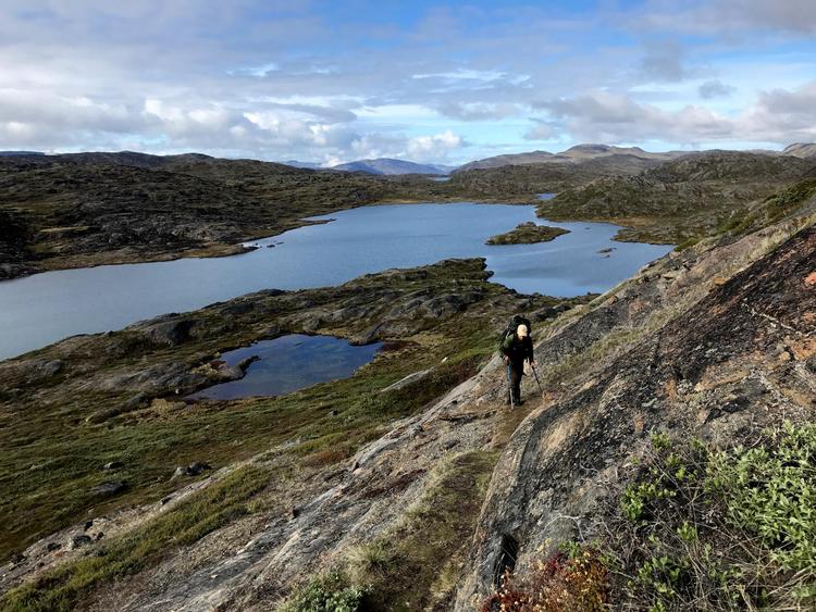 Der er stadig kun ganske få hundrede, som årligt vandrer de op til 200 kilometer mellem Kangerlussuaq og Sisimiut. Bo Fledelius