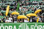 Der er gang i den på tribunerne, når Hammarby spiller hjemme i Allsvenskan. 