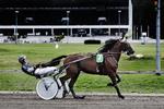 Rene Kjær – her bag The Patriot – tipper sig selv til en andenplads med Chief One i dagens derby.  Ditte Valente/VALENTE DITTE