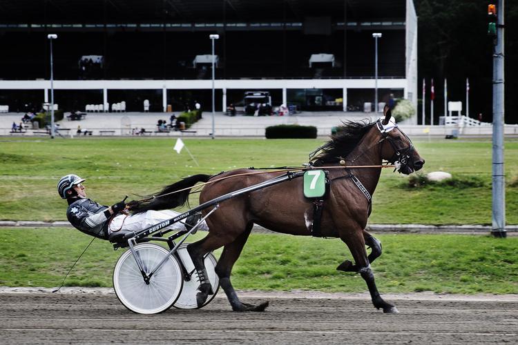Rene Kjær – her bag The Patriot – tipper sig selv til en andenplads med Chief One i dagens derby.  Ditte Valente/VALENTE DITTE