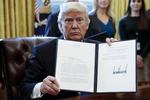 Trump_03