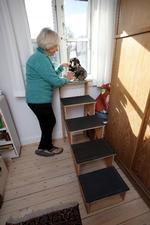 Pia Kjærsgaard har fået en PET-godkendt snedker til at bygge trappe til Rikke - både i privaten og i præsidielejligheden. Pia Kjærsgaard har selv betalt. Foto: Jens Dresling 