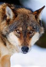 file6uob85stg836ruulmga