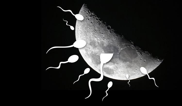 Touchdown. Sædceller, der har været på rumfart i 9 måneder, kan godt bruges til at lave reagensglasmus, viser ny forskning. Det har fået forskerne til at drømme om en sædbank på Månen, der skal redde menneskeheden i tilfælde af en naturkatastrofe. Originalfoto: Ben Curtis/AP / Illustration: Kaspar Busch
 