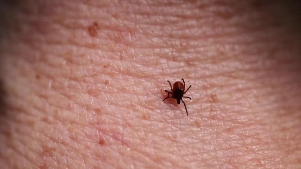 Professor: Vaccine skaber mere sygdom end den behandler